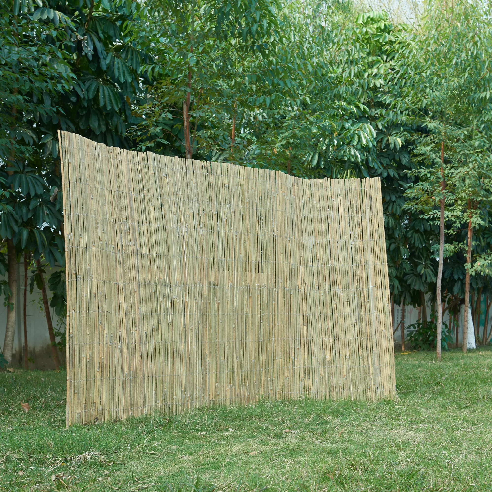 Ogrodzenie bambusowe Baarle nature w różnych rozmiarach [casa.pro] - Image 4