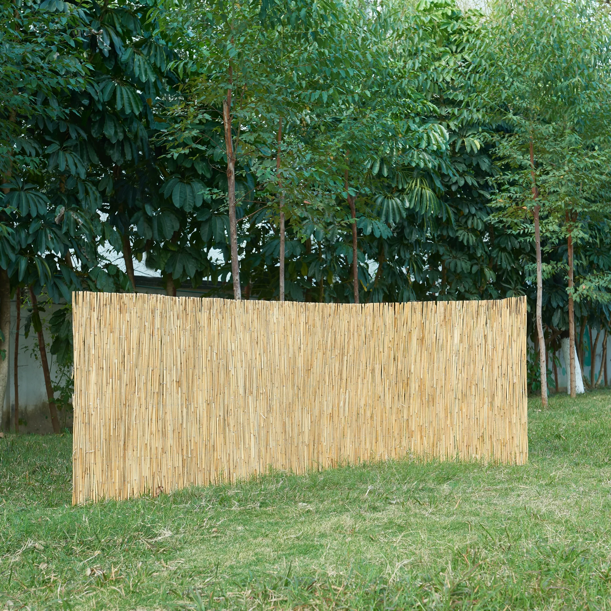 Płot trzcinowy Abbateggio [casa.pro] - Image 3